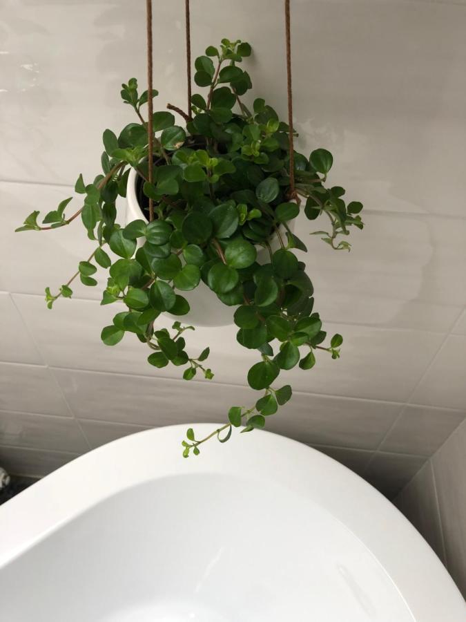 Gattaglio 22 Guest House 레조넬에밀리아 외부 사진